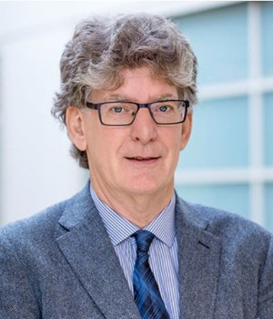 Hans de Wit